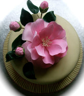 FUSCHIA FLOWER PETAL CUTTER SET A324